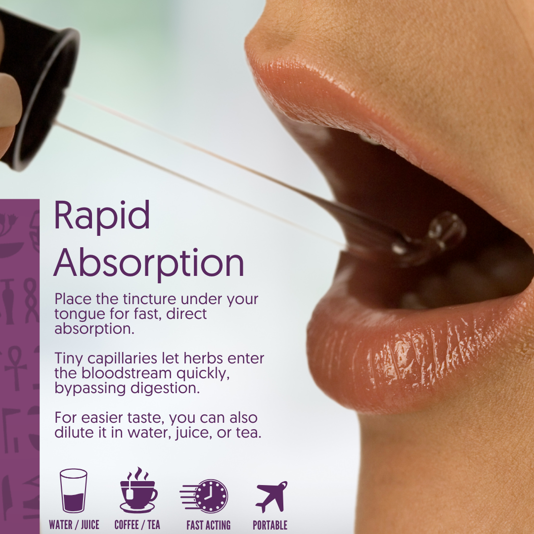 Ra Herbals Certified Organic Elderflower Tincture